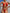 ZASUWA Female Cross Backless One Piece