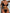 ZASUWA Female Sexy Pearl Beach Bikini Set
