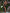ZASUWA Female Sexy Sheer Mesh 3 Pieces Bikini Set