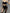 ZASUWA Female Mesh Quick Dry Elastic Tight Leggings