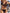 ZASUWA Female Sexy Hot Stamping Patchwork Bikini