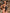 ZASUWA Female Deep V Backless High-waisted One-piece Swimsuit