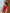 ZASUWA Female Contrast Color Stripes One Piece
