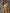 ZASUWA Female Sexy Shiny Golden&Sliver Swimsuit