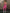ZASUWA Female Contrast Color Fitness Set Scrunch Bum Sportswear