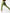 ZASUWA Female Corset Contrast Color Elastic Tight Quick Dry Hip-lift Leggings