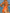 ZASUWA Female Sexy Backless Beach One Piece