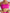 ZASUWA Female Cross Beautify Back Adjustable Strap Sports Bras