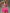 ZASUWA Female Contrast Color Stripe with Chest Pads Gather Shockproof Short Tracksuit