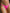 ZASUWA Female T-back Panties