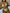 ZASUWA Female Backless Drawstring Folds Bikini Set