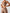 ZASUWA Female Solid Color Backless Cross Back Sports Bras