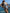 ZASUWA Female Sexy Cross Hollow Out Beach One Piece