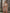 ZASUWA Female Sexy Diamond Fishnet Set Beach Dress Without Bikini