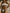 ZASUWA Female Sexy Contrast Color Stripe Beach Bikini Set