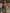 ZASUWA Female Contrast Color Stripe Backless Beach Bikini Set
