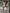 ZASUWA Female Cross Back Tennis Dress X ANECHKAANNN ⭐