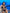 ZASUWA Female Unique Sexy Cutout Beach One Piece