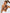 ZASUWA Female Pure White Beauty Back Sports Bras