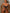 ZASUWA Female Sexy Contrast Color Bow-knot Lace-up Hollow Out Bikini Set