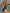 ZASUWA Female Sexy Backless Beach One Piece