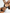 ZASUWA Female Glossy PU Bikini SetX ANECHKAANNN ⭐