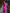 ZASUWA Female Deep V Back Scrunch Bum Cross Back Traksuit X ANECHKAANNN ⭐