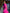 ZASUWA Female Deep V Back Scrunch Bum Cross Back Traksuit X ANECHKAANNN ⭐
