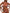 ZASUWA Female Solid Color Bikini Set