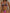 ZASUWA Female Sexy Halter Gradient Lace-up Laser Drawstring Backless Bikini Sets