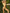 ZASUWA Female Solid Color Folds Lace-up V-shaped Waist Scrunch Bum Bikini Set