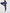 ZASUWA Female V-shaped Waist Fishnet Splicing Push Up Design Scrunch Bum Leggings