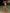 ZASUWA Female Sexy Pearl Beach Bikini Set