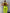 ZASUWA Female Tiktok Solid Color Jumpsuits  X Carmen⭐