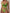 ZASUWA Female Butterfly Print Cut Out Tie Front Drawstring Swimsuit Bikini Set