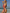 ZASUWA Female Zebra Print Hollow Out Cross Back One Piece