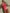 ZASUWA Female Contrast Color Splicing Tailoring Hollow Out  Bikini Set