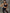 ZASUWA Female Mesh Hollow Out Sports Bras