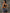 ZASUWA Female Big Deep U Collar Yoga Bras
