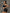 ?ZASUWA Female Fly Eye Contrast Color Sports Bras