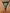 ZASUWA Female Sexy Butterfly Print Bikini Set
