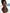 ZASUWA Female Sexy Pearl Beach Bikini Set