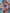 ZASUWA Female Butterfly Print Cut Out Tie Front Drawstring Swimsuit Bikini Set