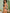 ZASUWA Female Ombre Snake Print Bikini Set