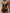 ZASUWA Female Solid Color Pearl Lace-up Hollow Out 3-Pieces Mesh Bikini Set