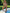 ZASUWA Female internationality Stylish Contrast Color Bikini SetX Carmen⭐