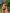 ZASUWA Female Sexy Shining Bikini SetX Carmen⭐