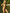 ZASUWA Female Solid Color Folds Lace-up V-shaped Waist Scrunch Bum Bikini Set