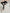 ZASUWA Female Sexy Mesh Splicing High-waisted Hip-lift Stripes Leggings