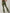 ZASUWA Female Pocket Scrunch Bum Flare Cargo Leggings